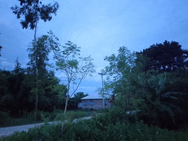 1000044406.jpg