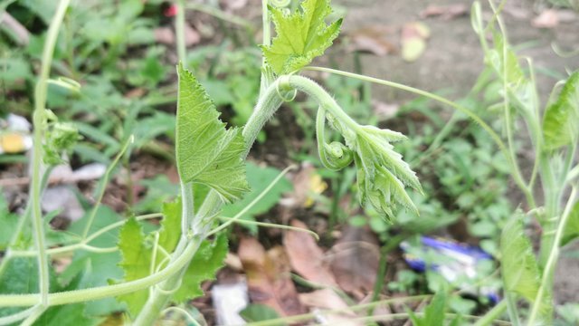 IMG_20240901_082606.jpg