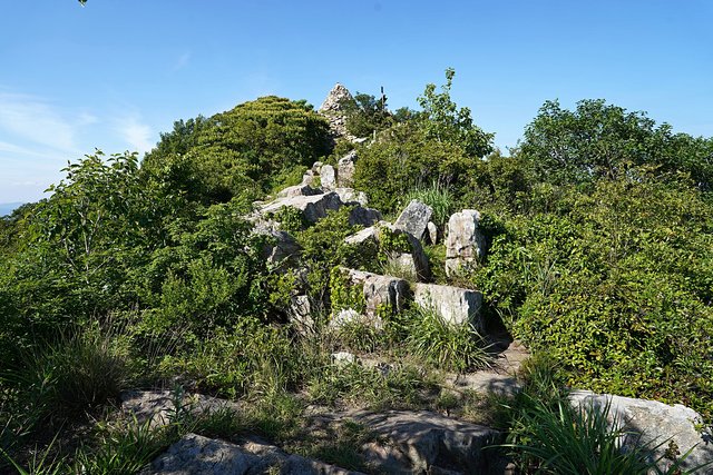 b-DSC08395.JPG