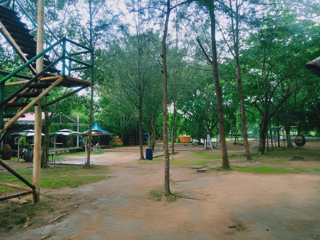 IMG20250417144648.jpg