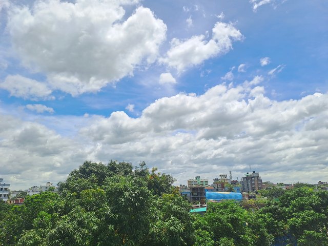 20250725_122459.jpg