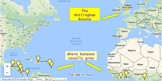 Banana map525.png