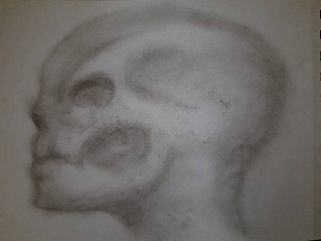 20250928_092026.jpg