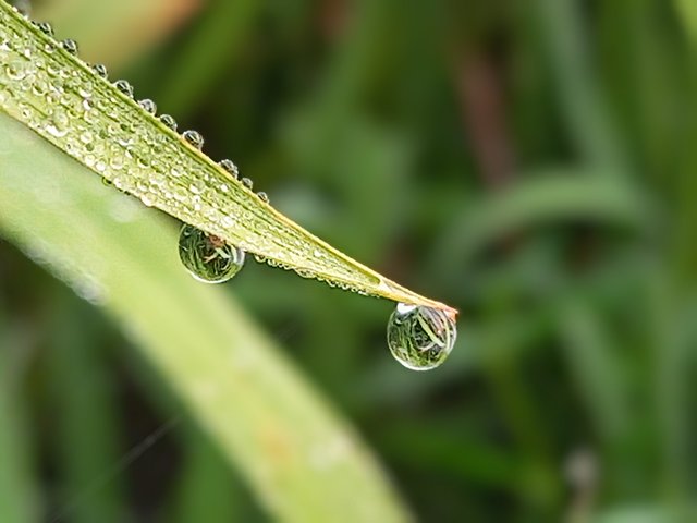 20250416_063741~2.jpg