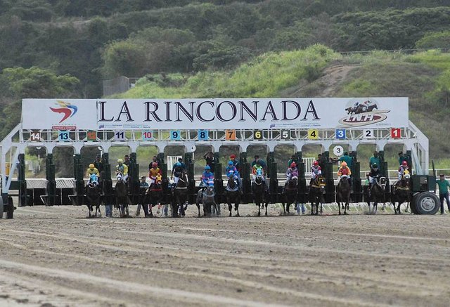 suspendieron-carreras-rinconada-por-falla-electrica_243147.jpg