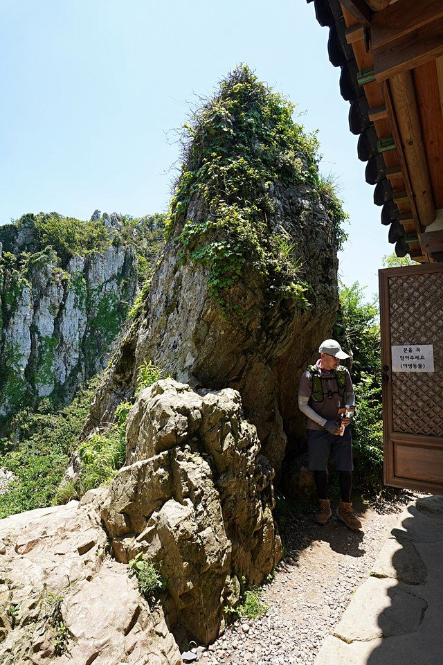 b-DSC08074.JPG