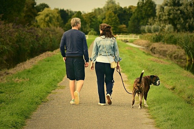 couple-3687274_640.jpg
