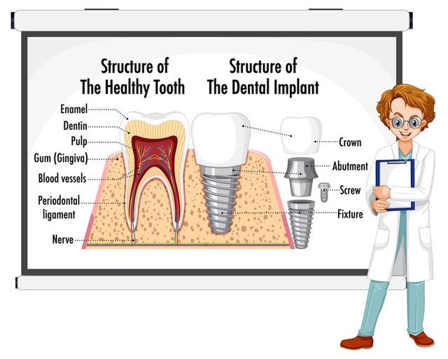 infographic-human-structure-healthy-tooth_1308-95010.jpg