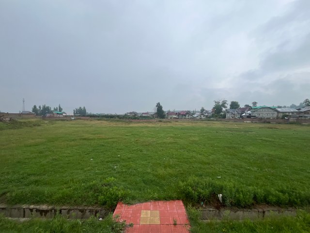 IMG_4287.jpeg