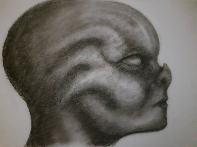 20250727_100328.jpg