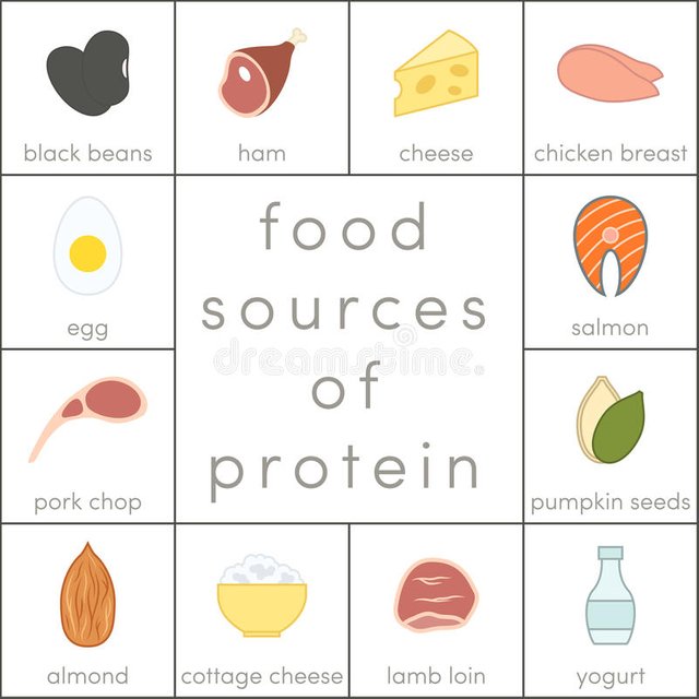 food-sources-protein-elements-infographic-91889412.jpg