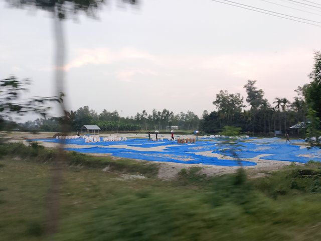 1000041519.jpg