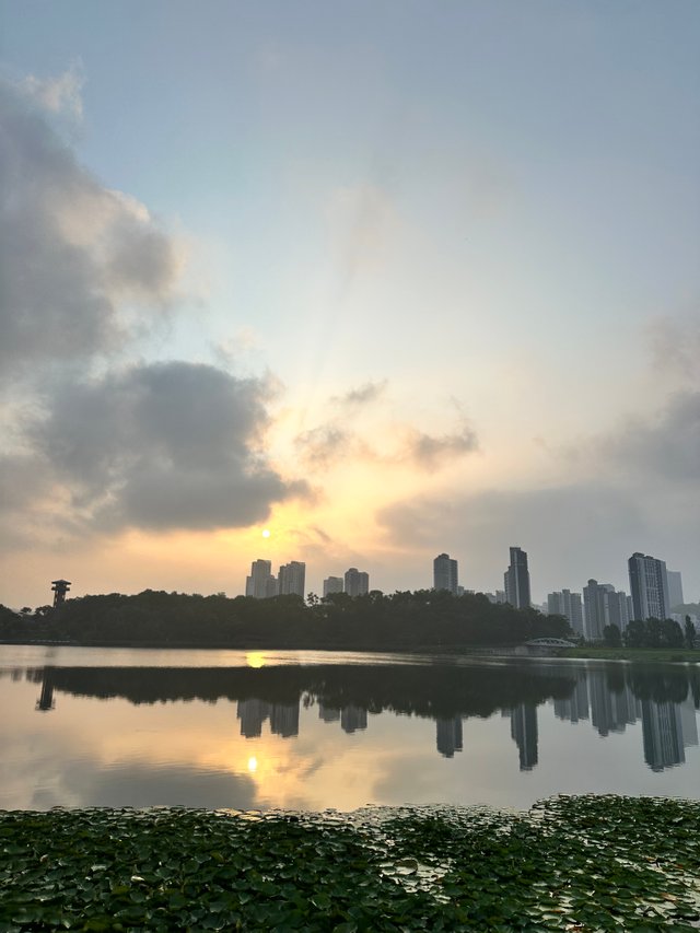 IMG_6173.jpeg