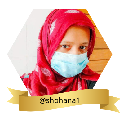 @shohana1.png