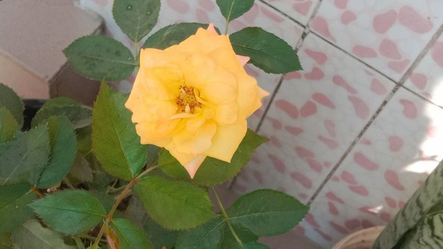 IMG_20250918_164641_800.jpg