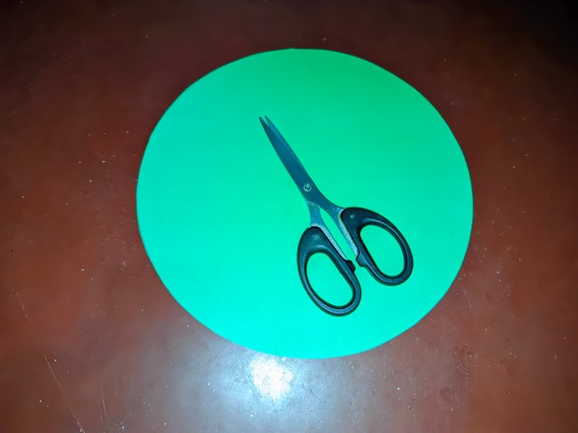 1000008095.jpg