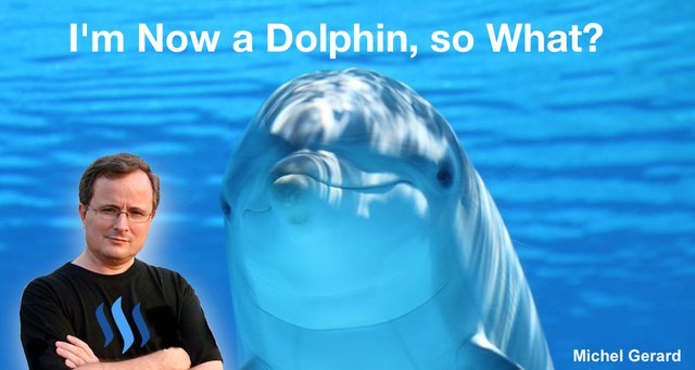 I'm Now a Dolphin, so What?