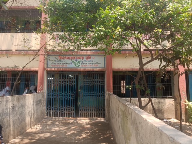 IMG20250508113310.jpg