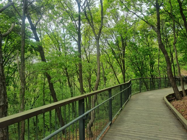 20250427_093909.jpg