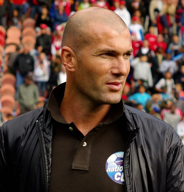 Zinedine_Zidane_2008.jpg