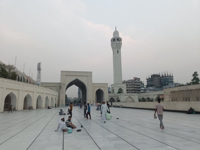 IMG20250512182108.jpg