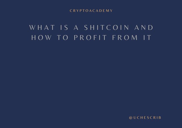 What is a Shitcoin and how to profit from it.jpg