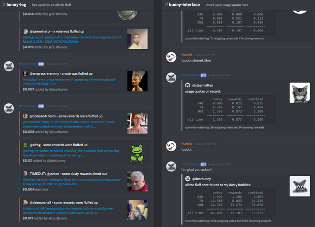 screenshots of the bunny discord log and interface channels