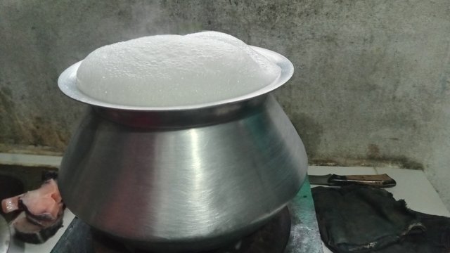 20250922_081440.jpg