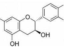 United States Catechin Market Report 2018.jpg