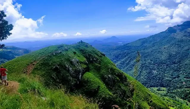 Little-Adams-Peak_23rd-Mar.webp