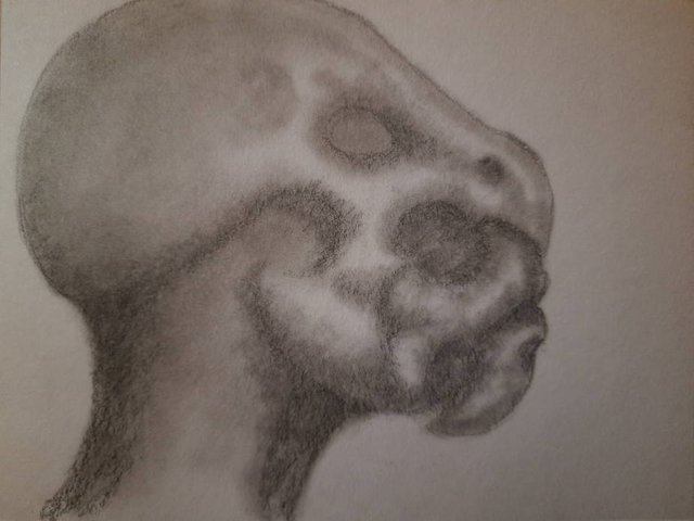 20250429_104800.jpg