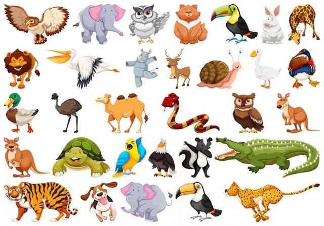 set-animal-character_1308-26951.jpg