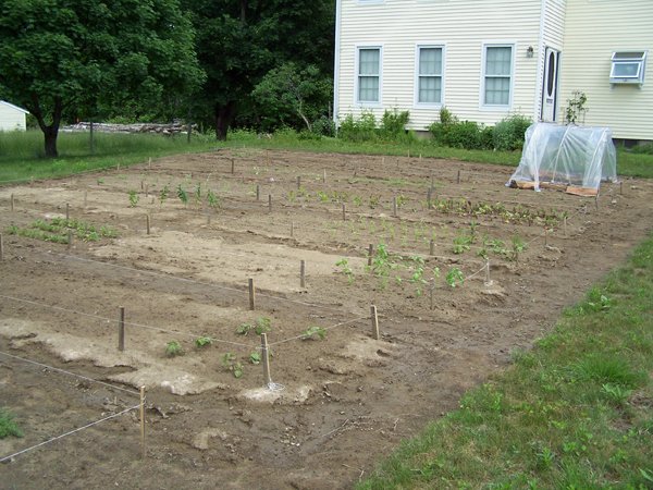 New Herb garden - all planted6 crop June 2016.jpg