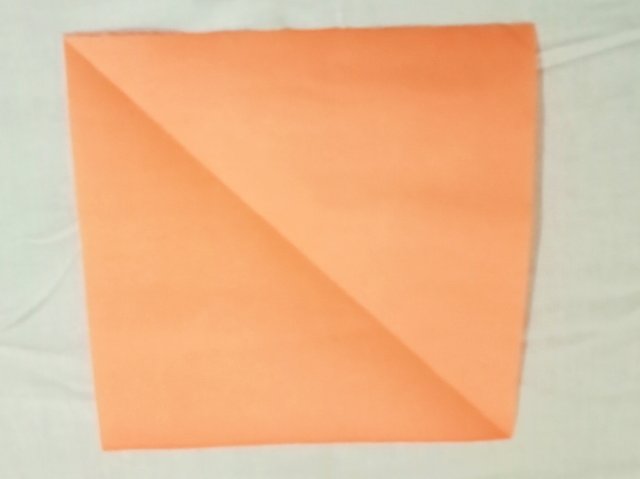 IMG_20230530_222545.jpg