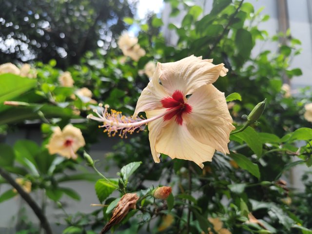 IMG_20250708_132738.jpg