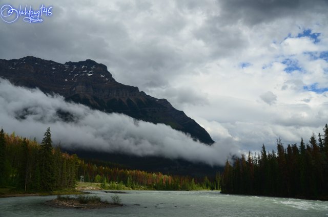 athabasca falls4.jpg