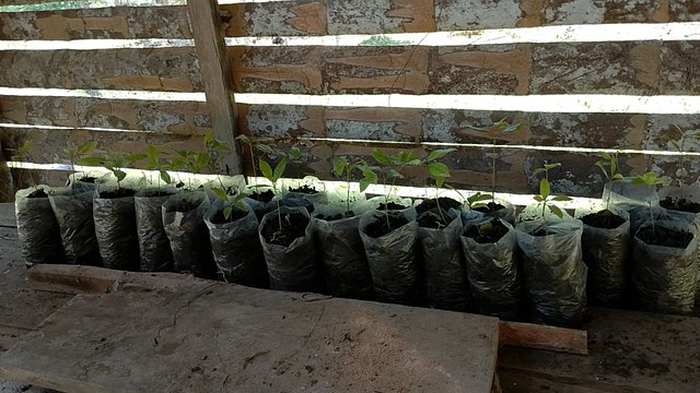 IMG_20250719_120119.jpg