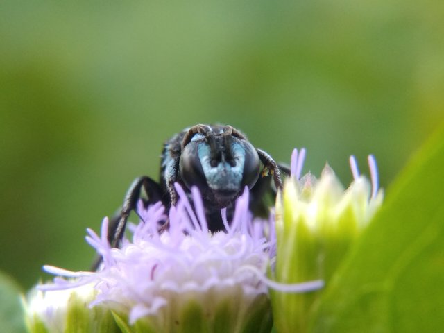 IMG_20210907_171004.jpg