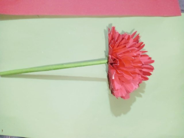 IMG-20250408.jpg