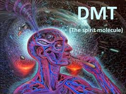 dmt.jpg