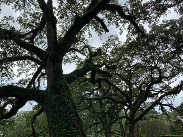 Whitney Plantation28.jpg