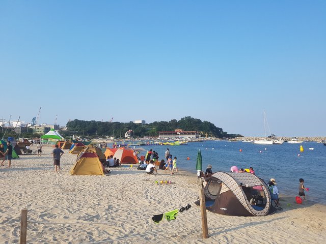 20180714_175505.jpg