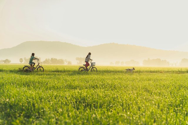 free-photo-of-two-girls-riding-bicycles-and-a-dog-running-on-a-countryside-road.jpeg