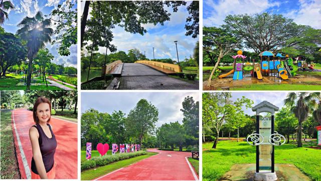 A Rainy Morning Walk at Suan Luang Rama IX Park, Phuket ๐น๐ญ๐ง๏ธ๐ฟ