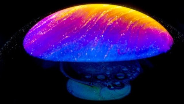 light mushroom (1).jpg