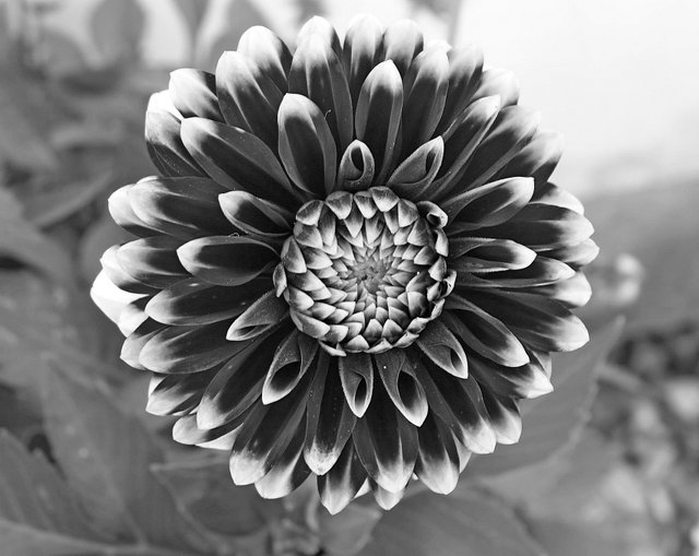 s250621-102.JPG