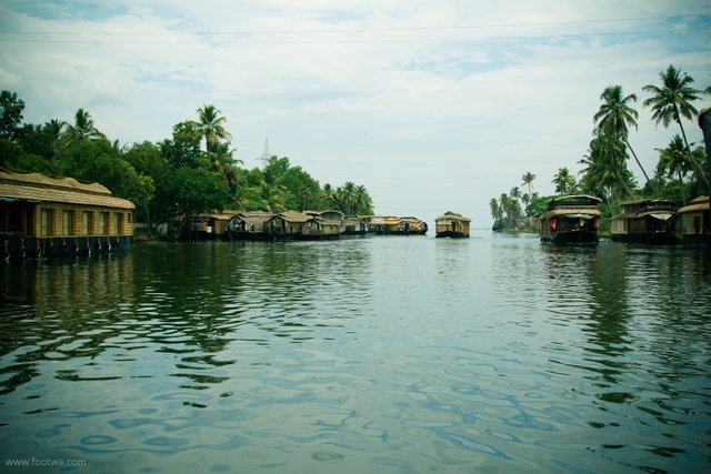 Kerala-Backwaters.jpg