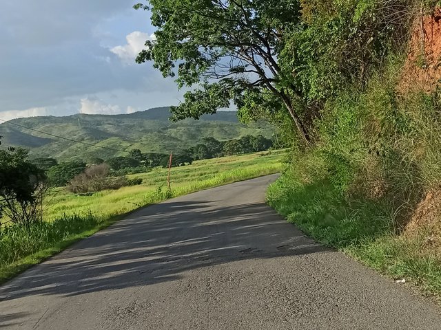IMG_20250805_085457.jpg