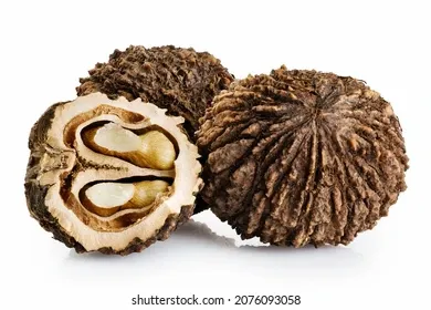 black-walnuts-isolated-on-white-260nw-2076093058.jpg