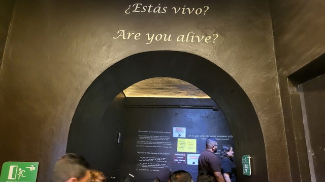 20240331_141744.jpg